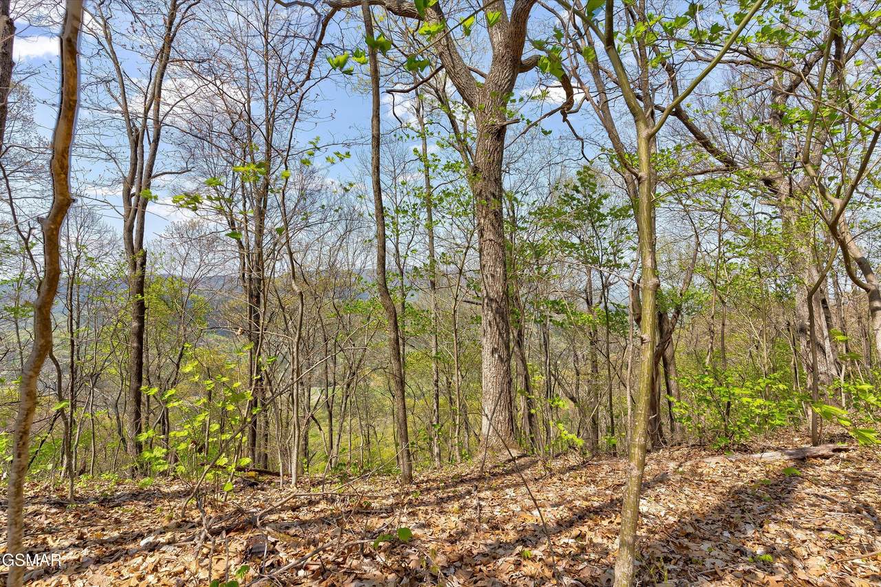 Lot 125E Settlers View Lane - Photo 1