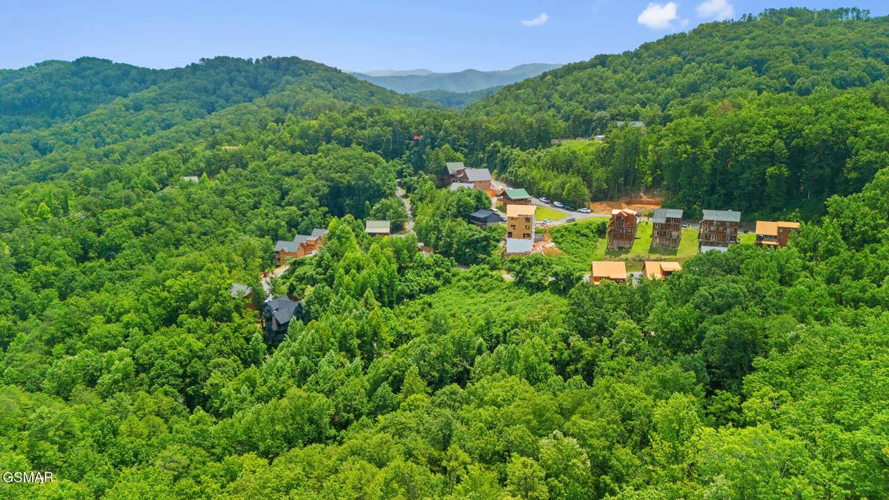 Lot 47 Pine Peak Way - Photo 1