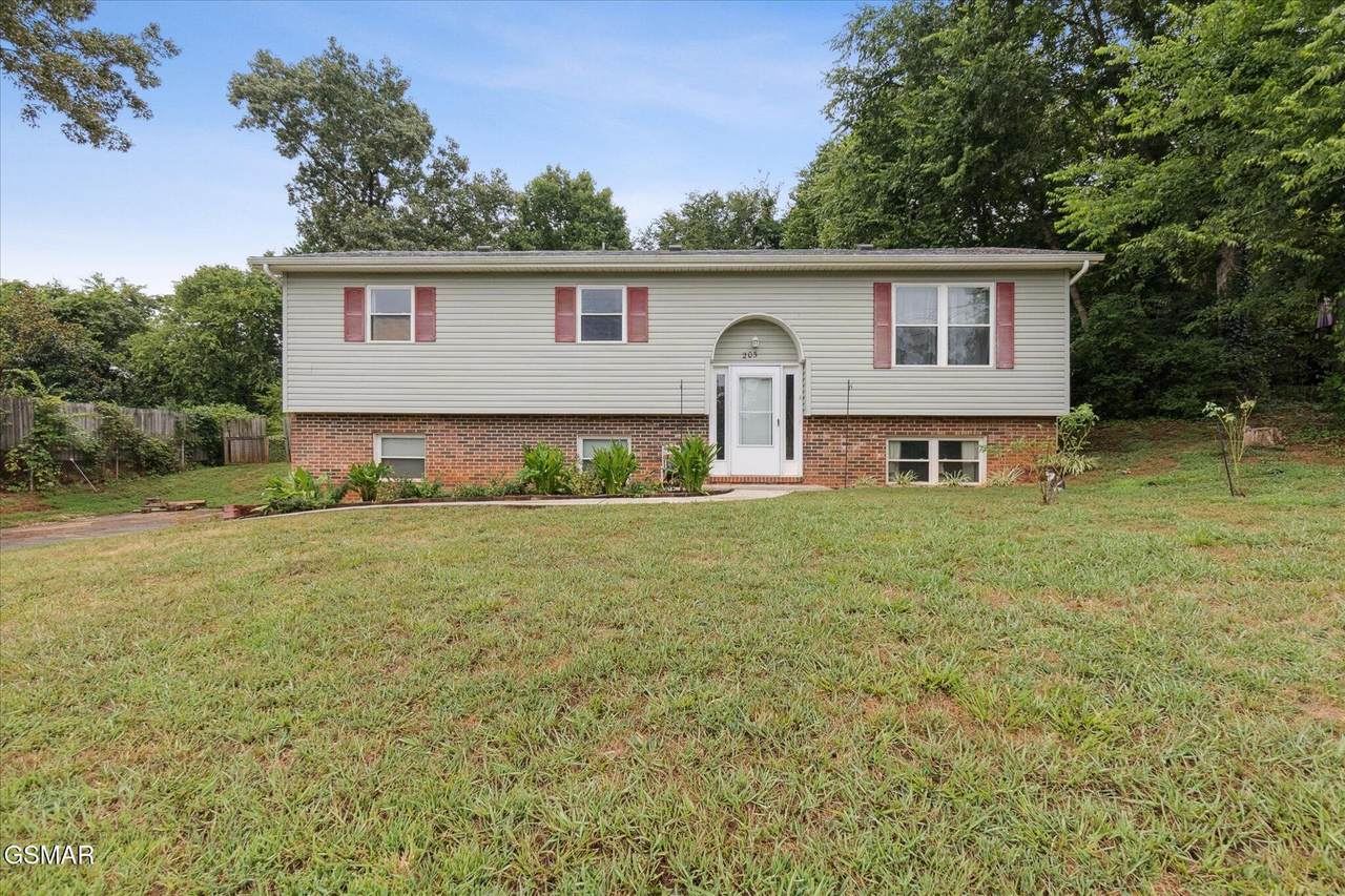 205 Blue Ridge Lane - Photo 1