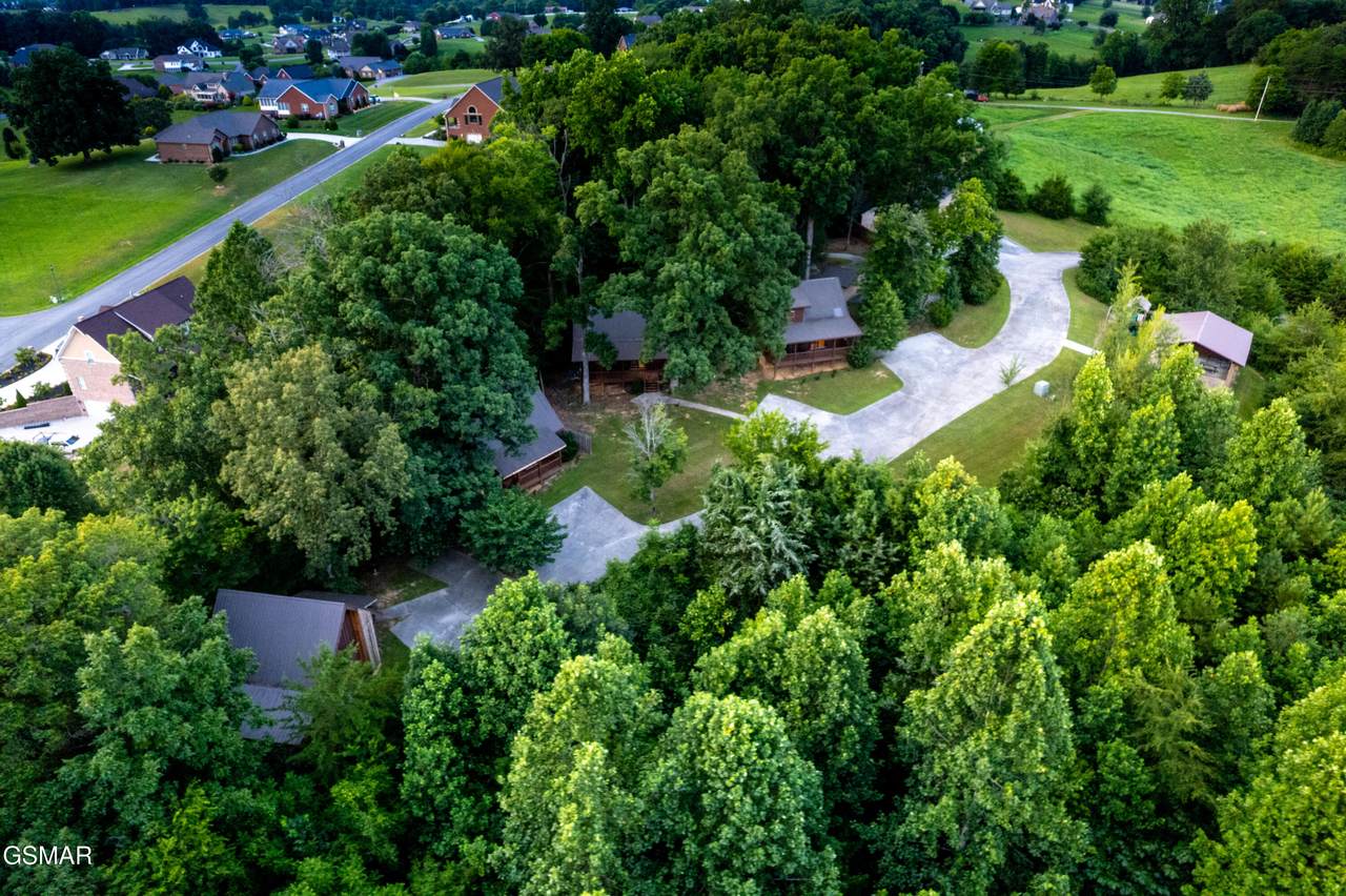 1311 Ina Grace Lane - Photo 1