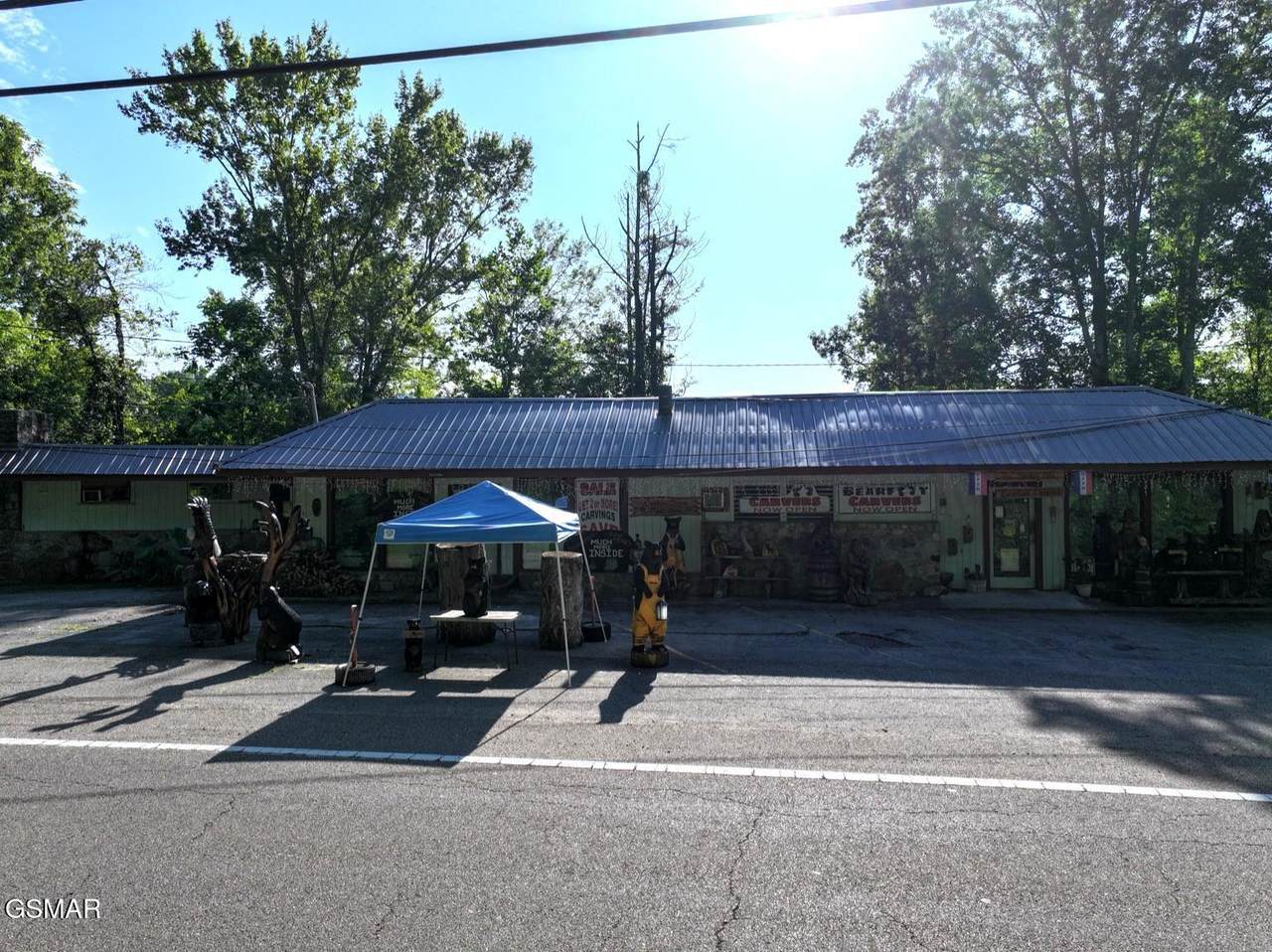 4344 Cosby Hwy Highway - Photo 1