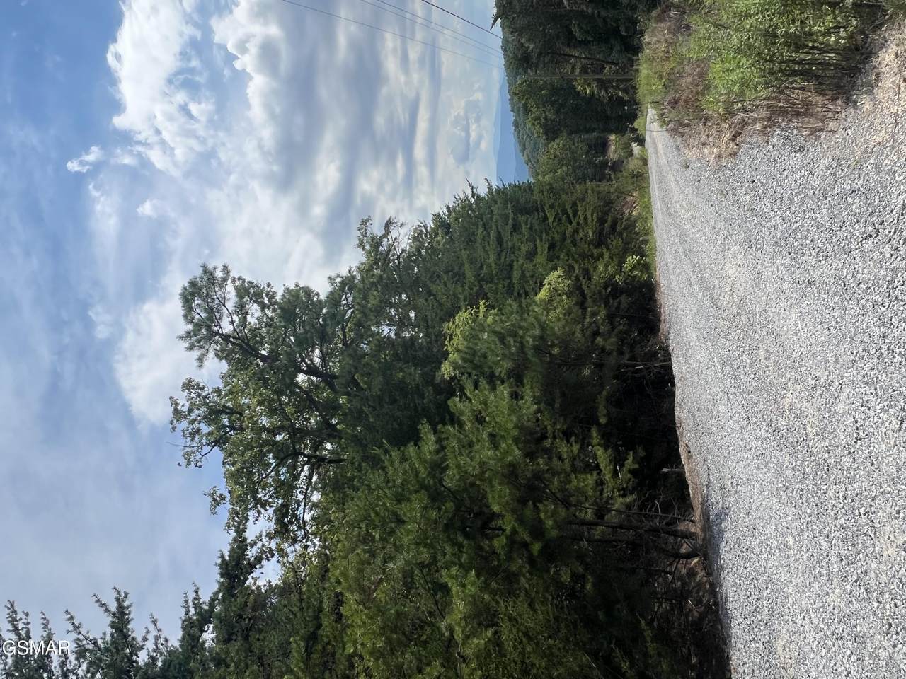 992 Bogard Creek Road - Photo 1