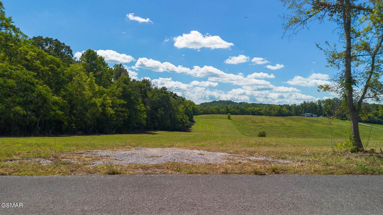 Tract 9 W Old Aj Hwy - Photo 1