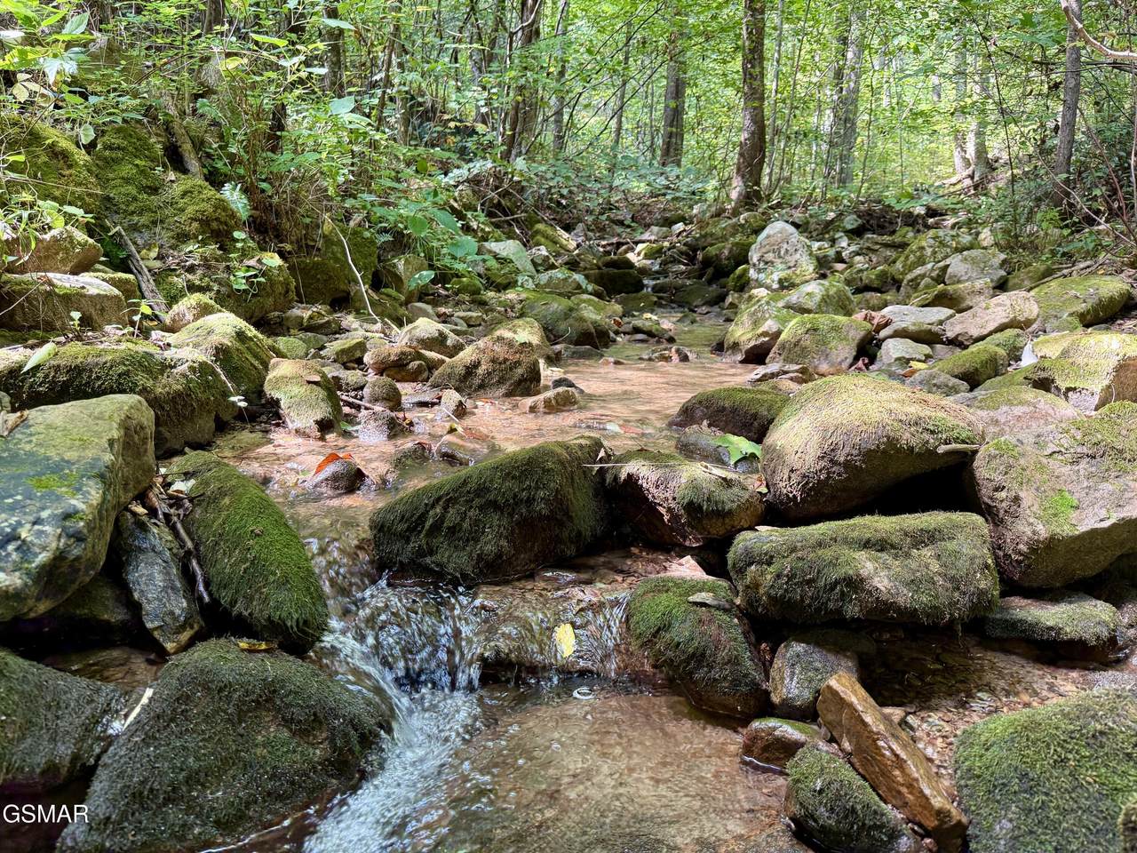 Lot 154 Summit Trails Drive - Photo 1