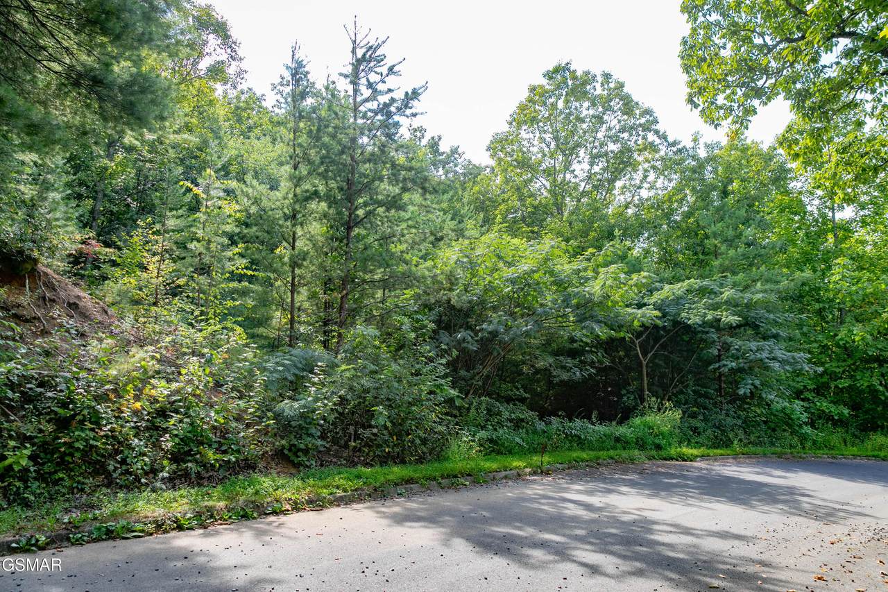 Lot 13 Lexy Lane - Photo 1