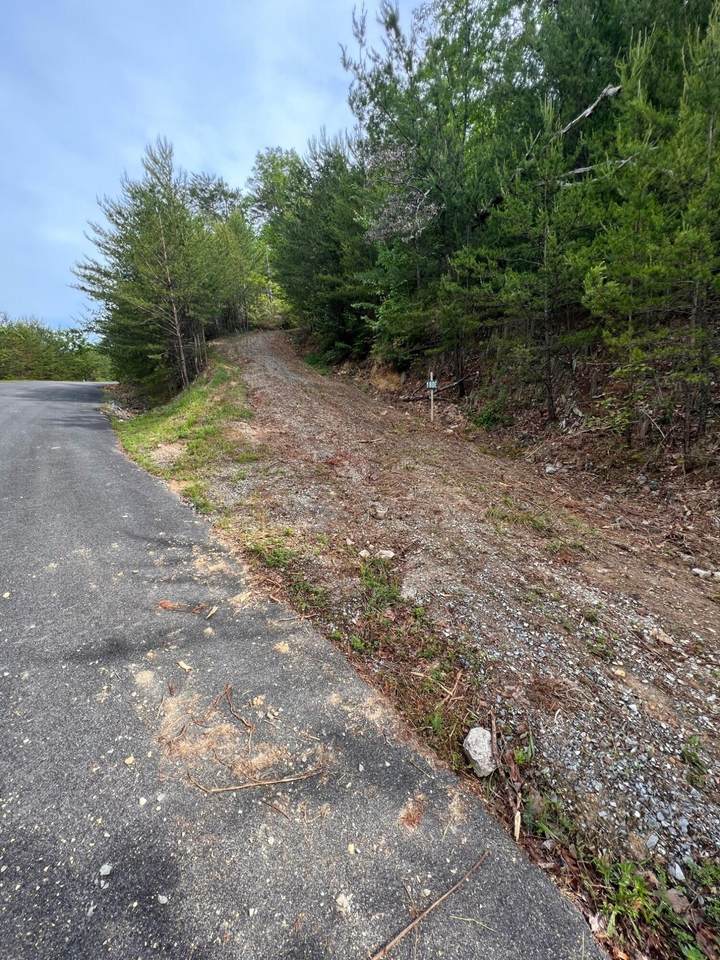 Lot 180E Jones Creek Lane - Photo 1