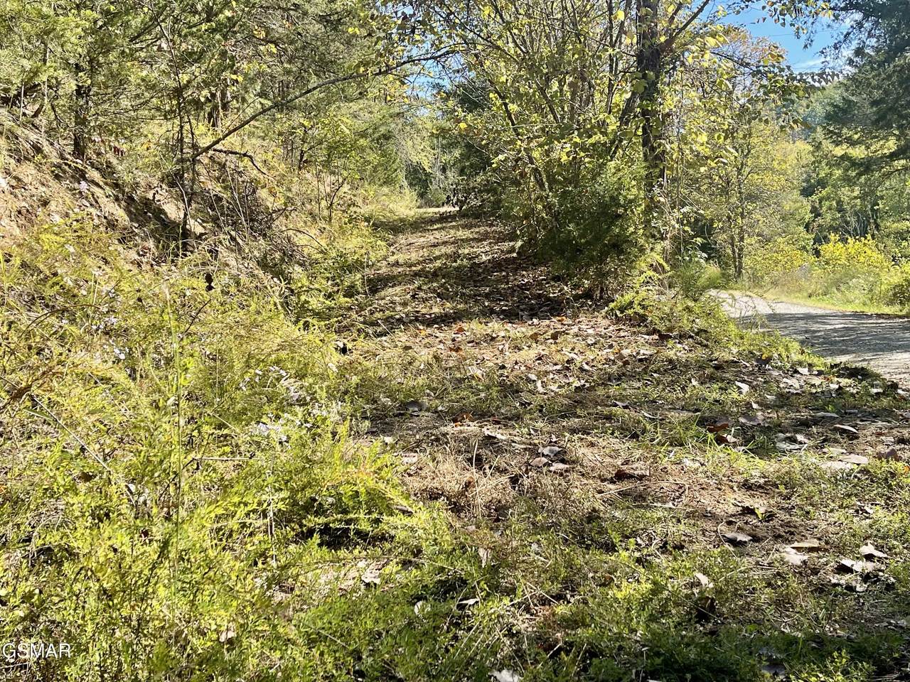 0 Thurman Road - Photo 1