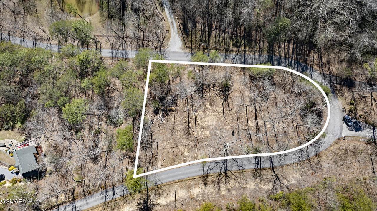 LOT 56 Cove Hollow Road - Photo 1