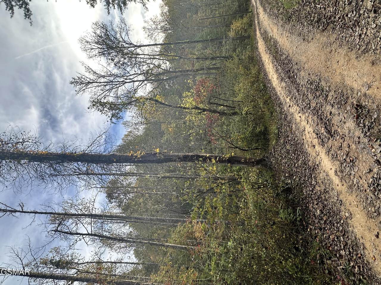 0 Peaceful Way - Photo 1