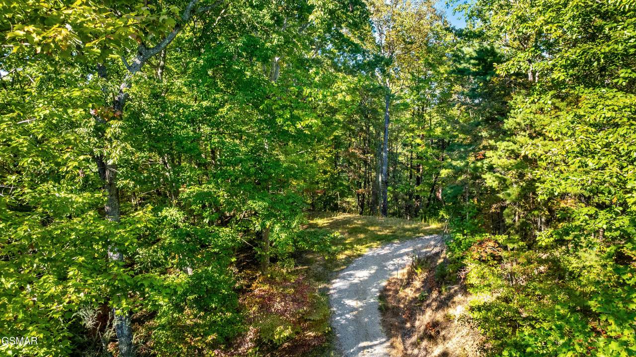 Lot 4 Deer Ridge Lane - Photo 1