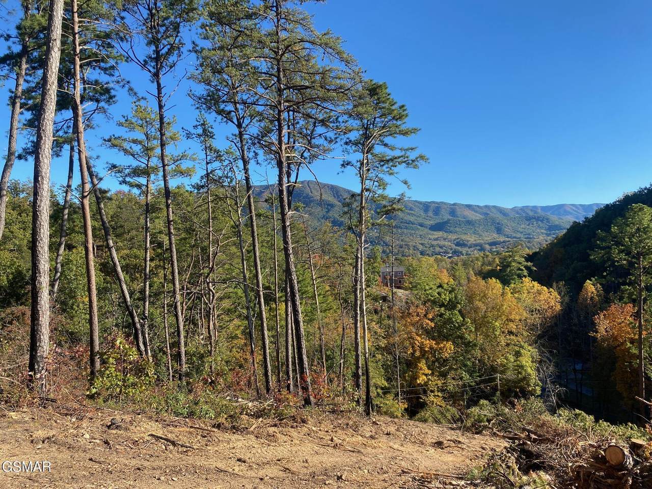 2947 Indigo Lane - Photo 1