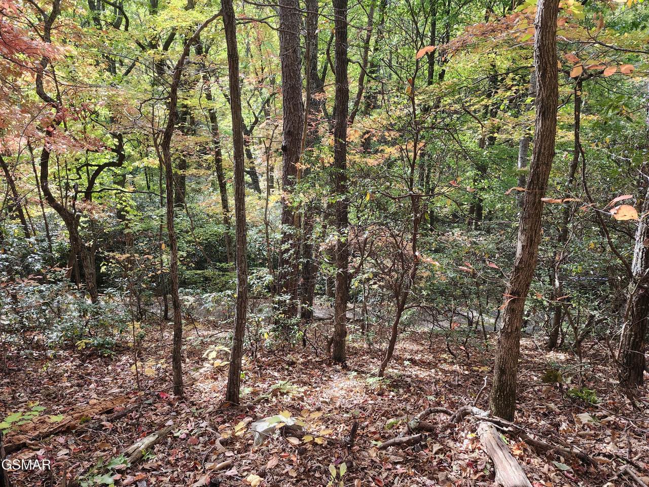 Lot 11 Bluff Mtn. Rd. - Photo 1