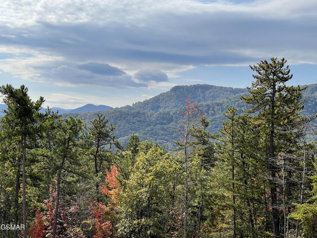 Lots 2/3/4 Sulpher Springs Way - Photo 1