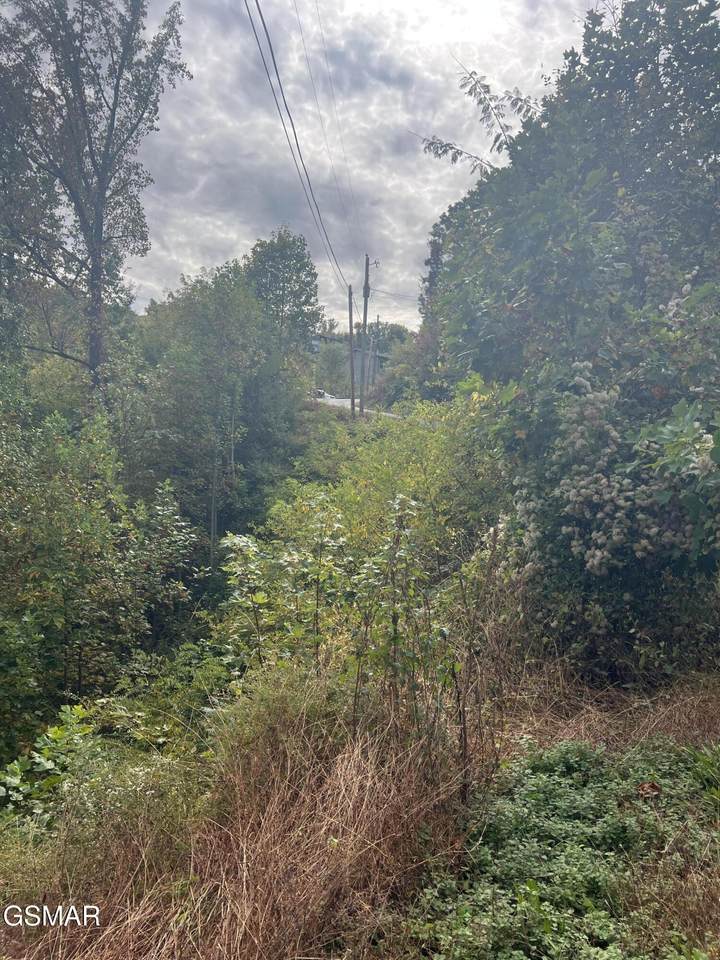 Lot 507 Pinecrest Drive - Photo 1