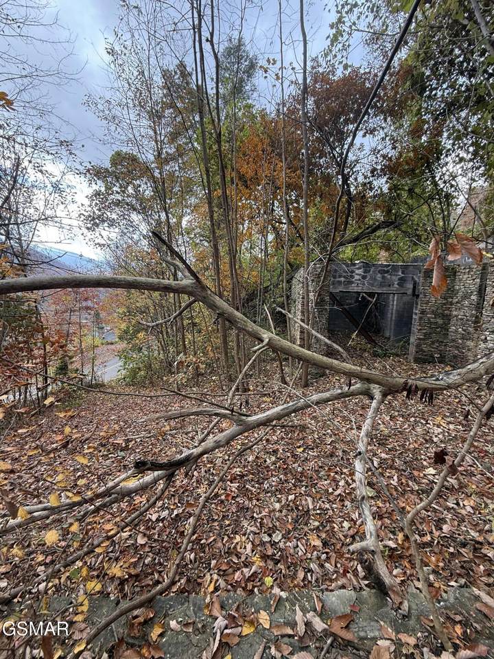 https://bt-photos.global.ssl.fastly.net/gsmar/1280_boomver_1_309061-2.jpg