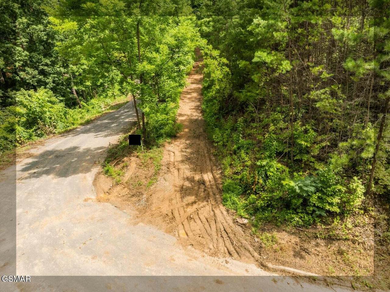 2119 Spurling Road Road - Photo 1