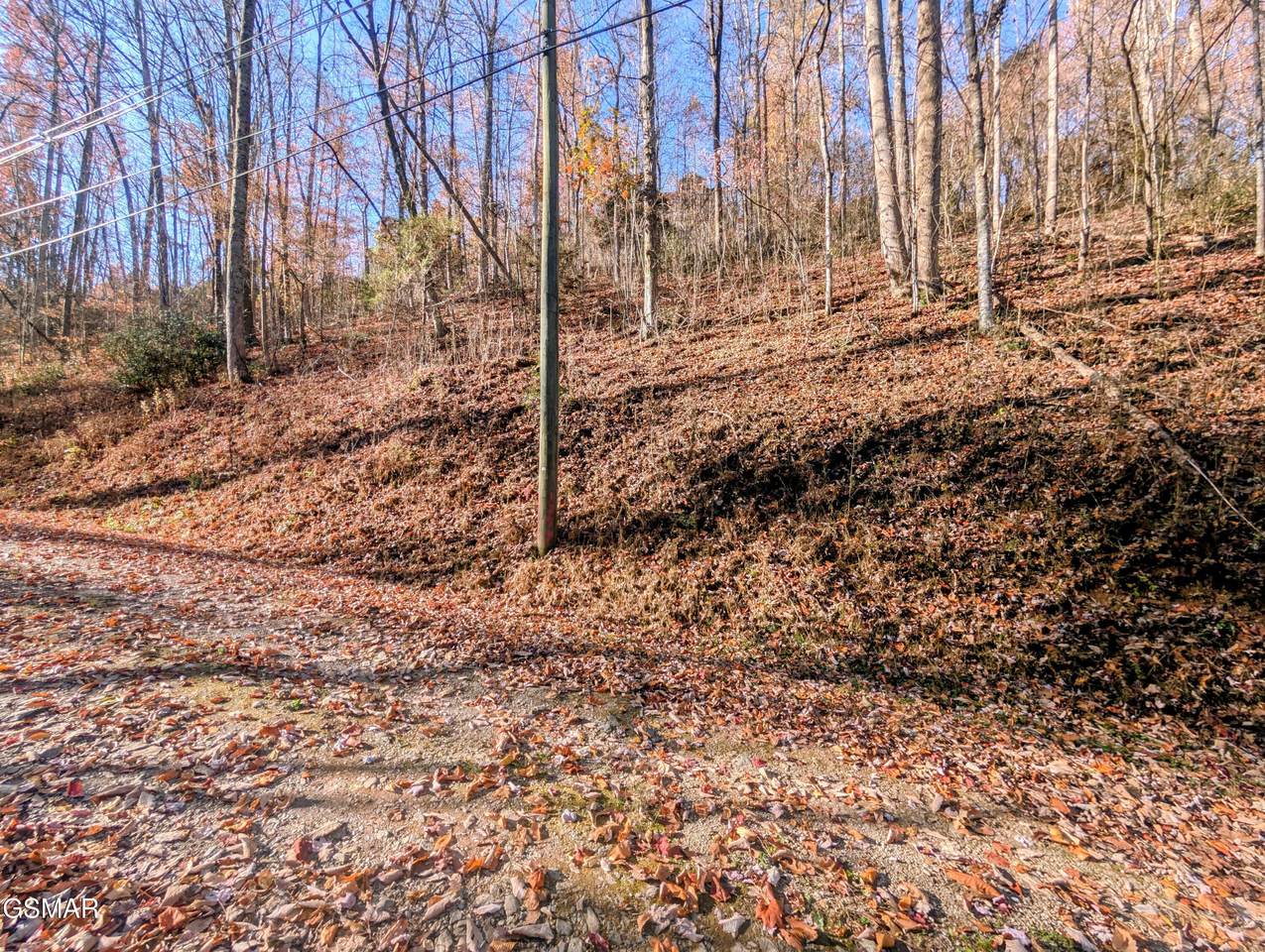 Lot 1272 Raymond Hollow Road - Photo 1