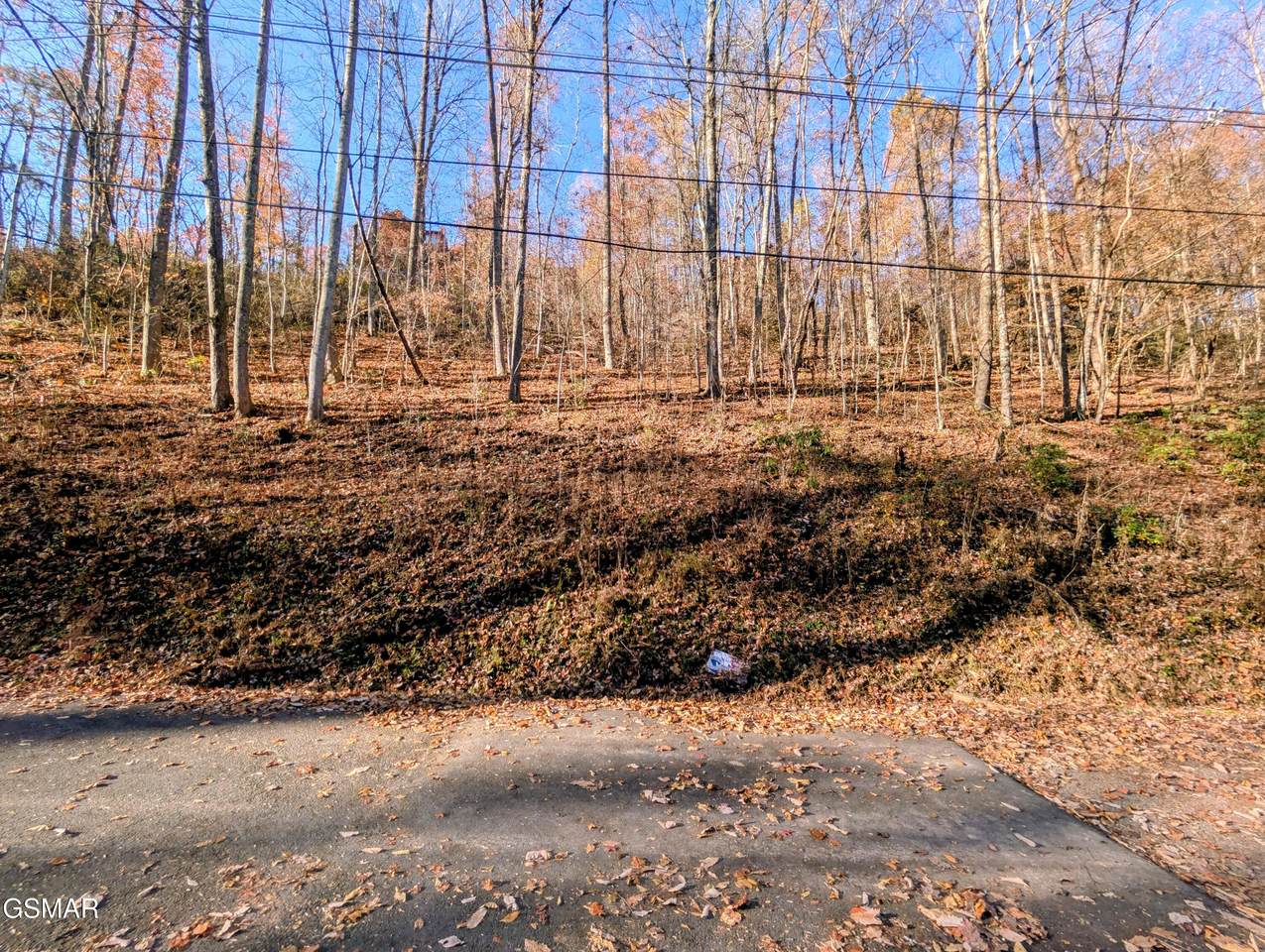 Lot 1273 Raymond Hollow Road - Photo 1