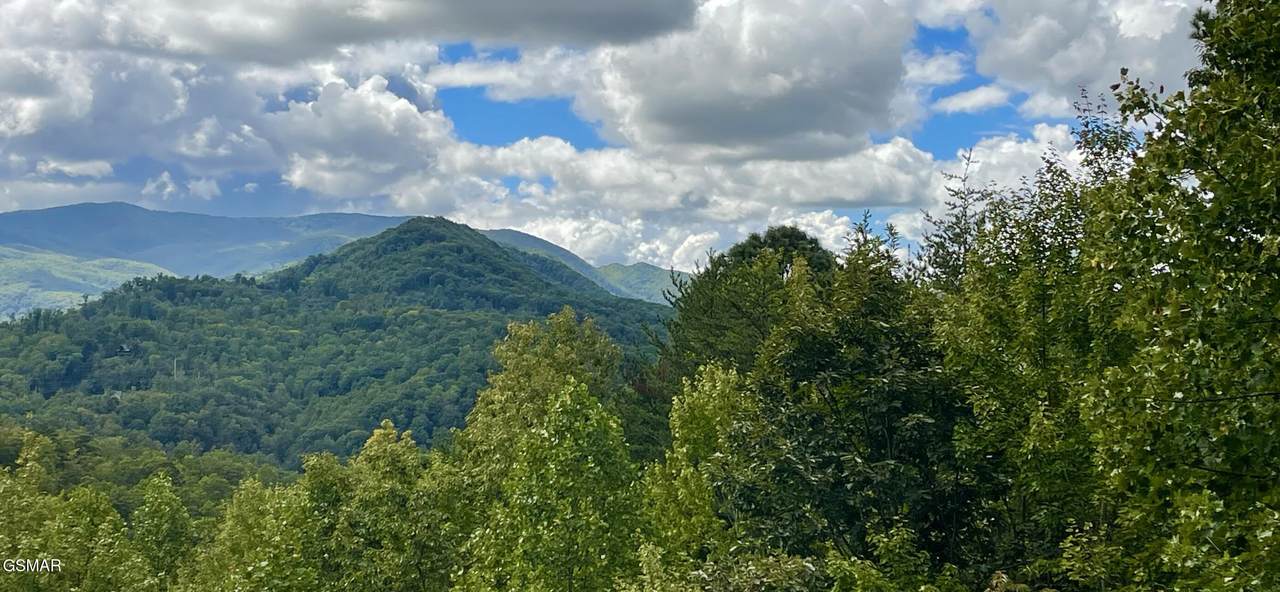 0 Sassafras Trail Trail - Photo 1