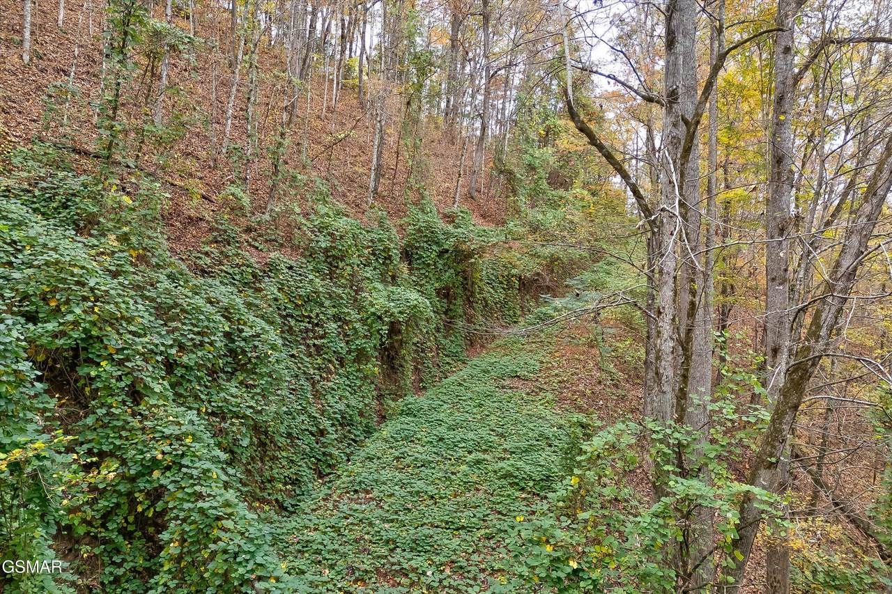 Lots 1,2,3 Timber Grove Road - Photo 1