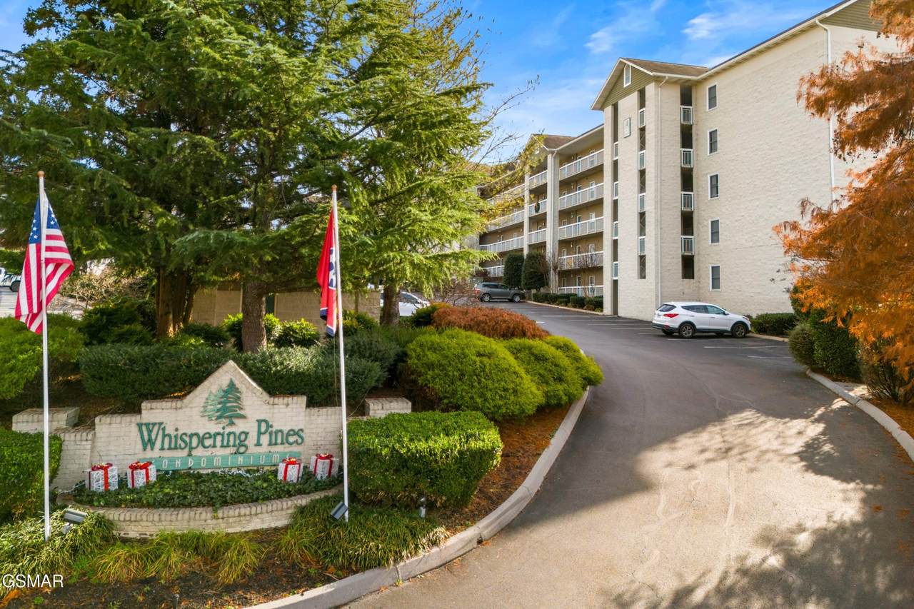 205 Ogle Dr - Photo 1