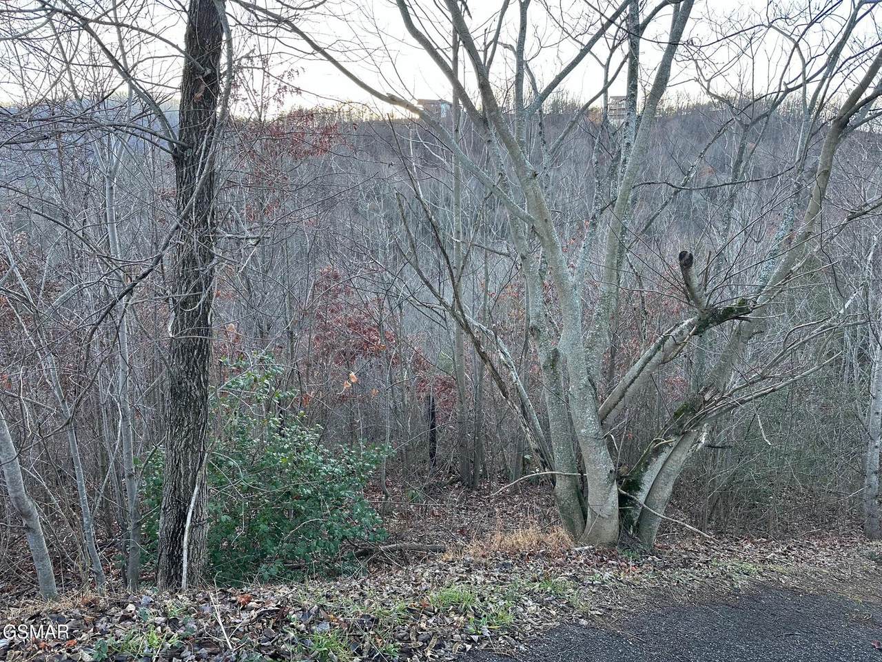 https://bt-photos.global.ssl.fastly.net/gsmar/1280_boomver_1_309342-2.jpg