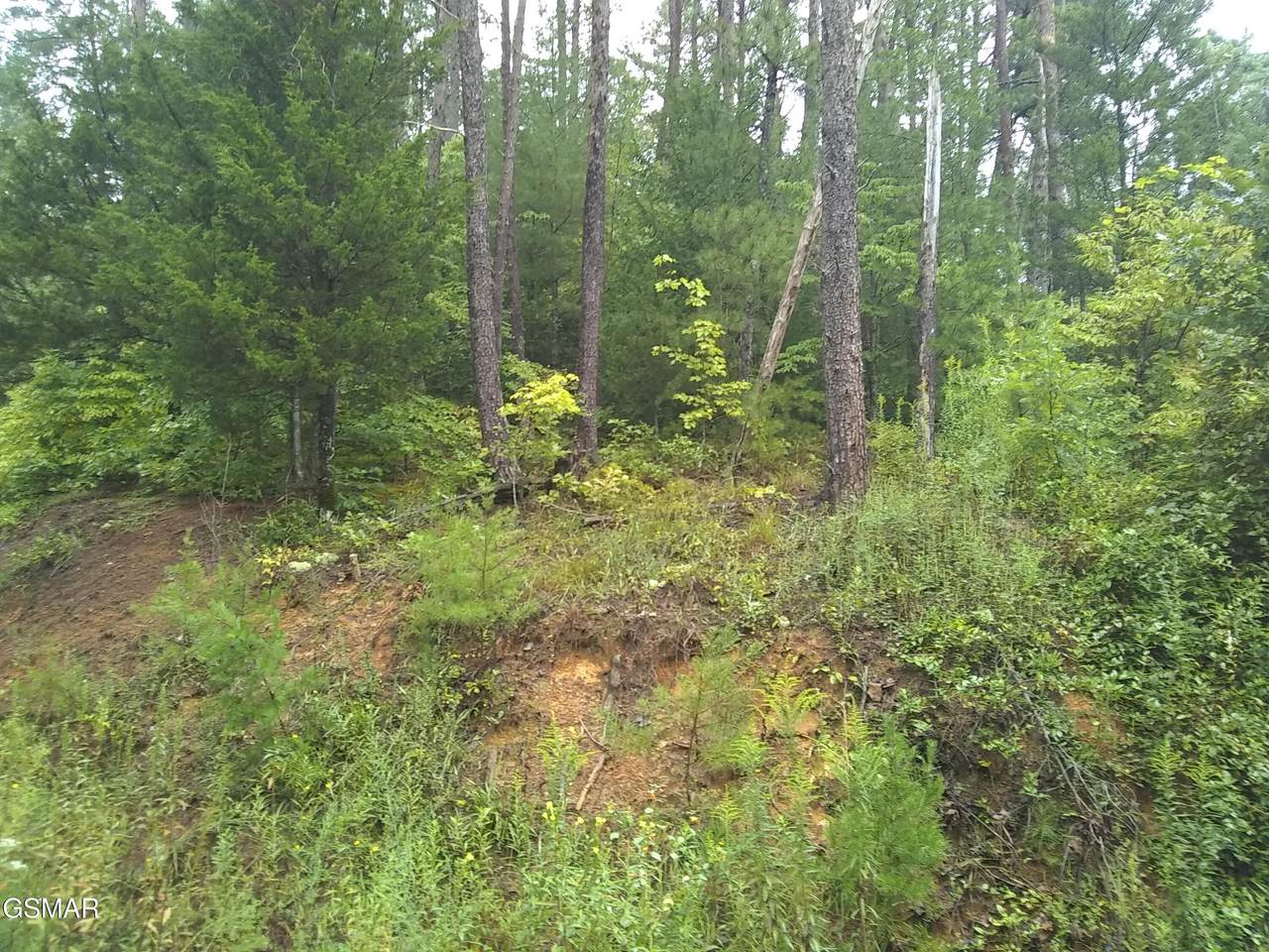 23 Walden Ridge Road - Photo 1