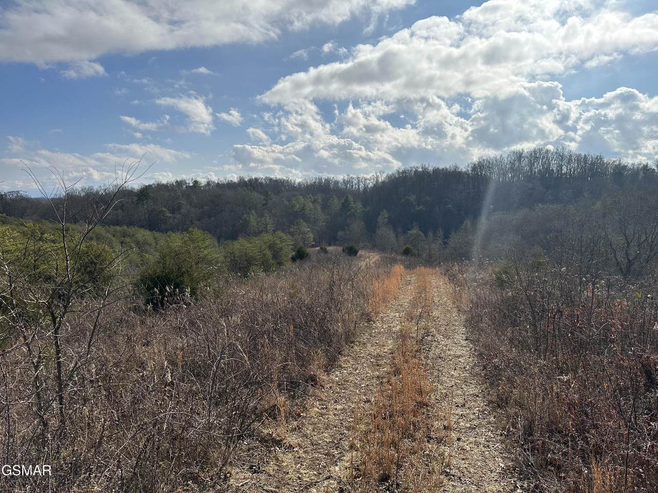 000 Leatherwood Road - Photo 1