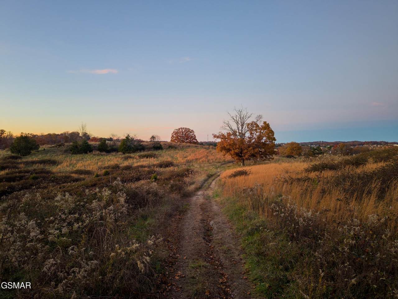 830 Hillside Drive - Photo 1