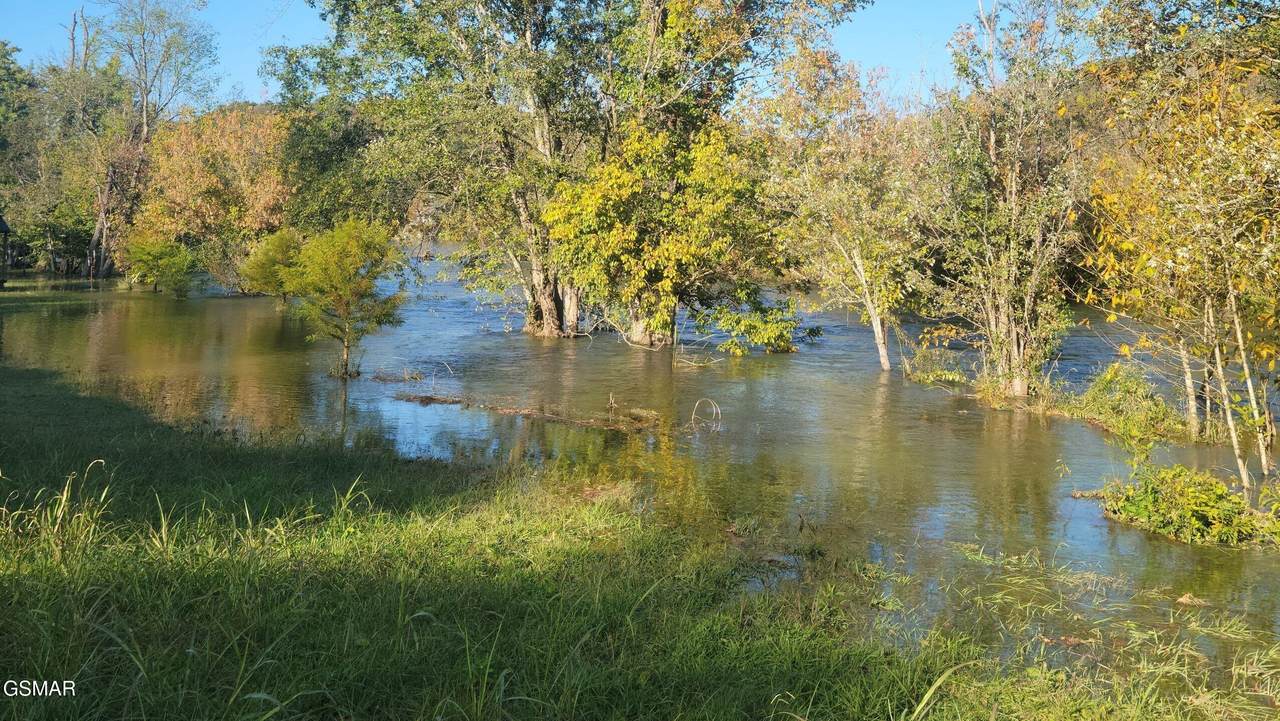 Lot 8 Holston Shores Drive - Photo 1