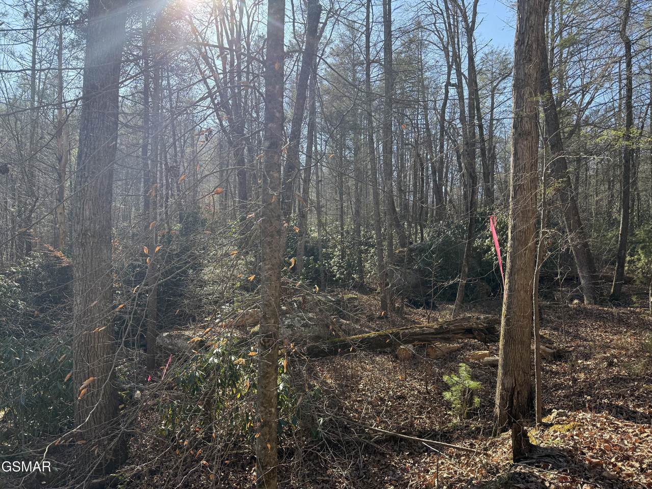 805 Bogard Creek Road - Photo 1