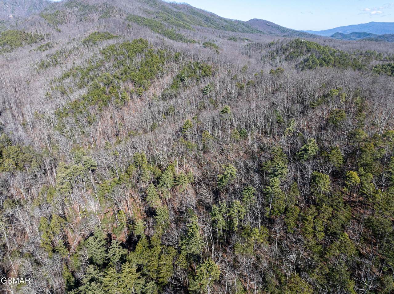 Tract 4 Wilhite Road - Photo 1