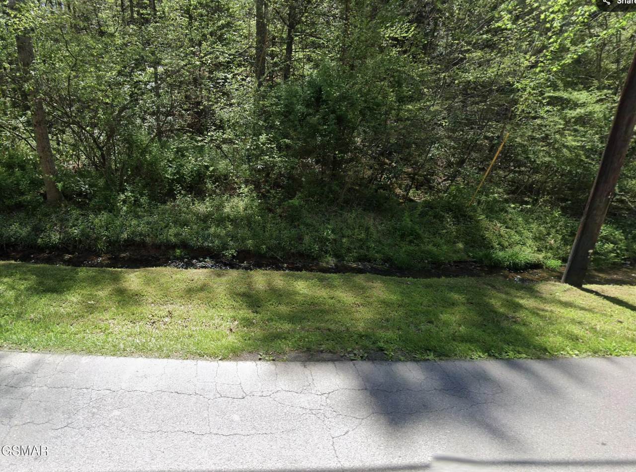 Lot 925 Silver Poplar Lane - Photo 1