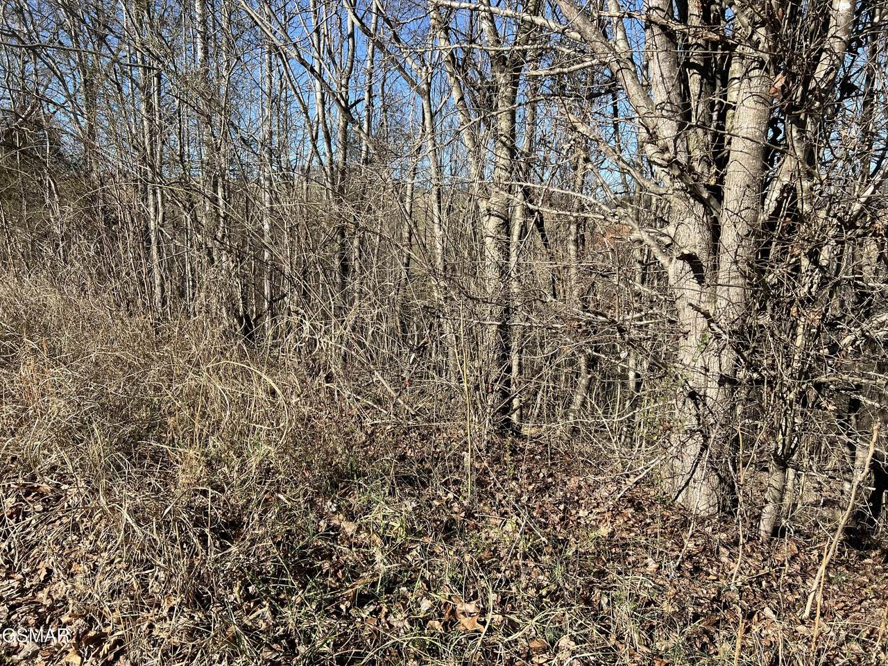 https://bt-photos.global.ssl.fastly.net/gsmar/1280_boomver_1_309706-2.jpg