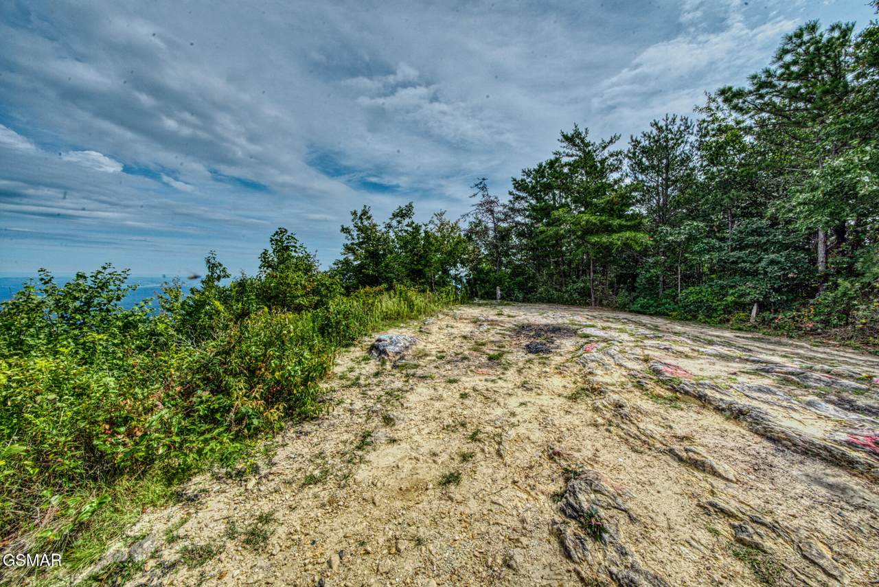 2820 Dupont Springs Road - Photo 1