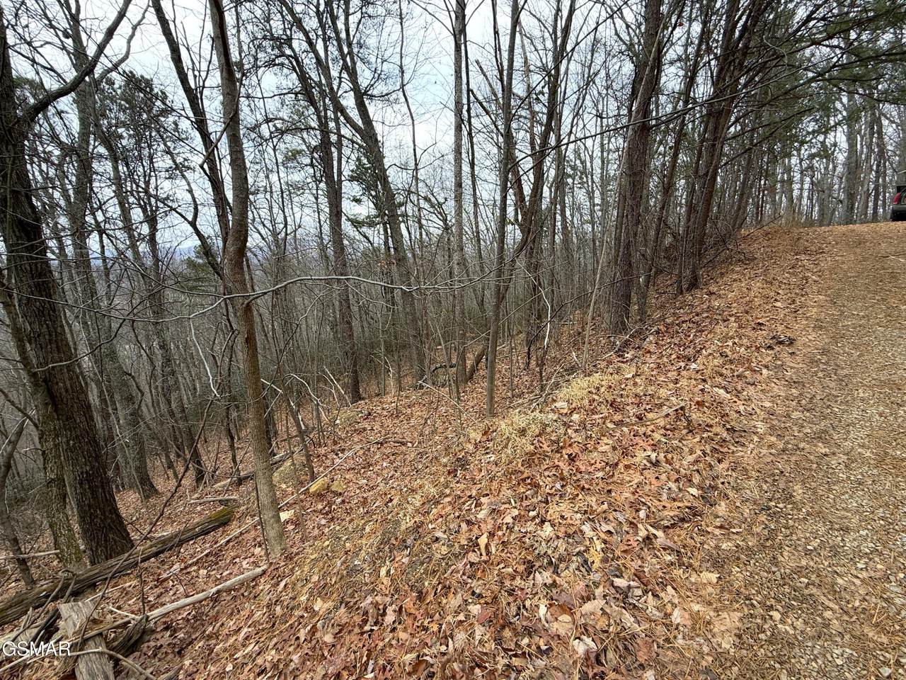 11 Ac Green Forest Road - Photo 1