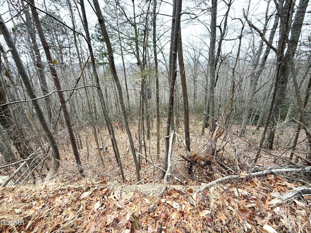 https://bt-photos.global.ssl.fastly.net/gsmar/1280_boomver_1_309753-2.jpg