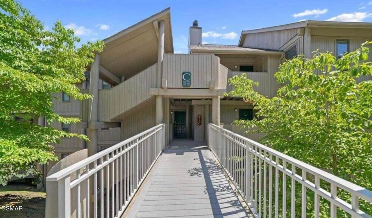 3710 Weber Road - Photo 1