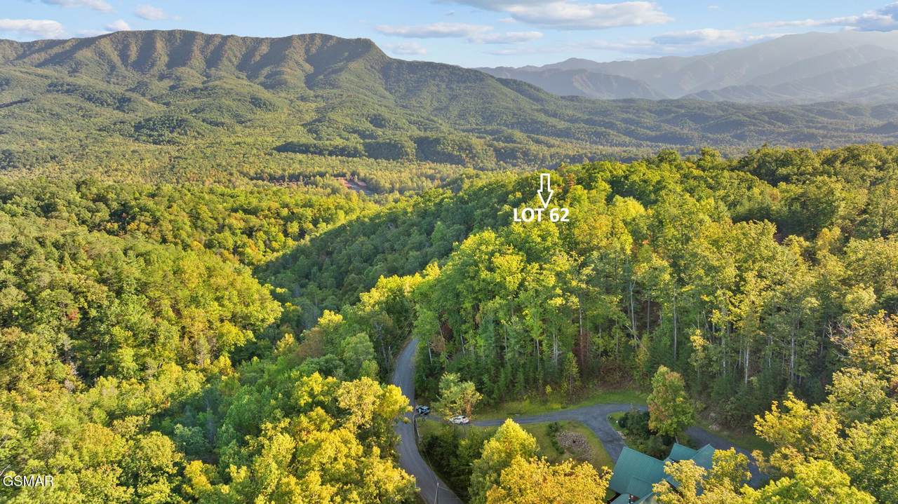 62 Pinnacle Vista Road - Photo 1