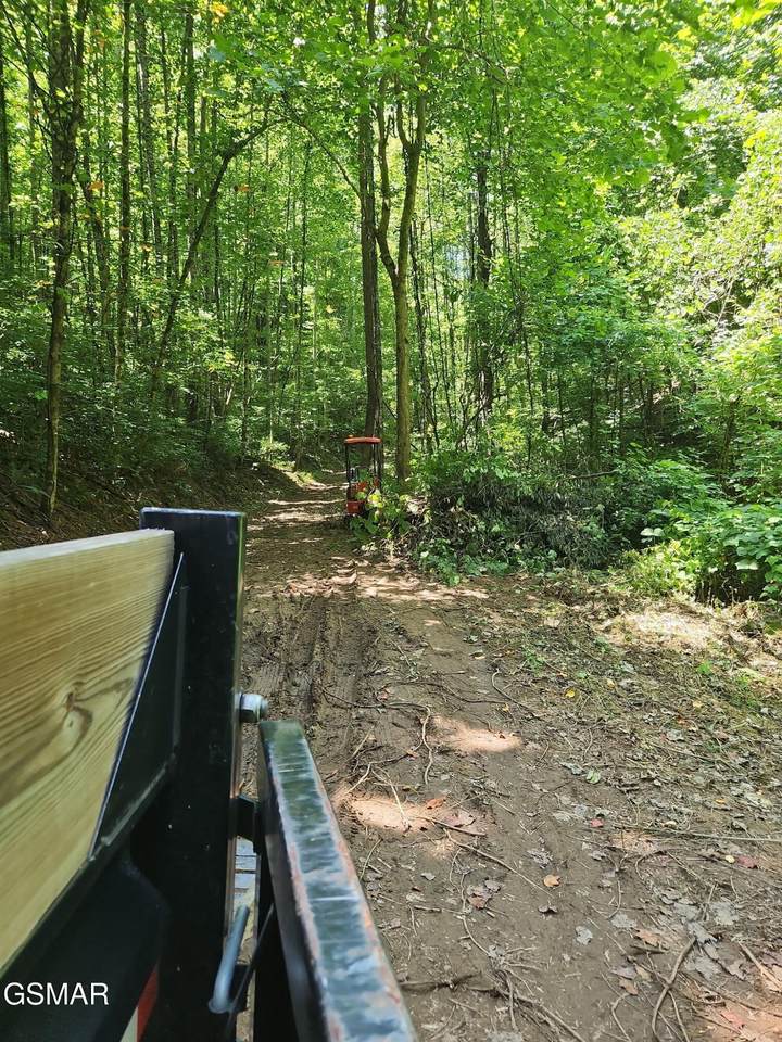 0 Lower Rinehart Road - Photo 1