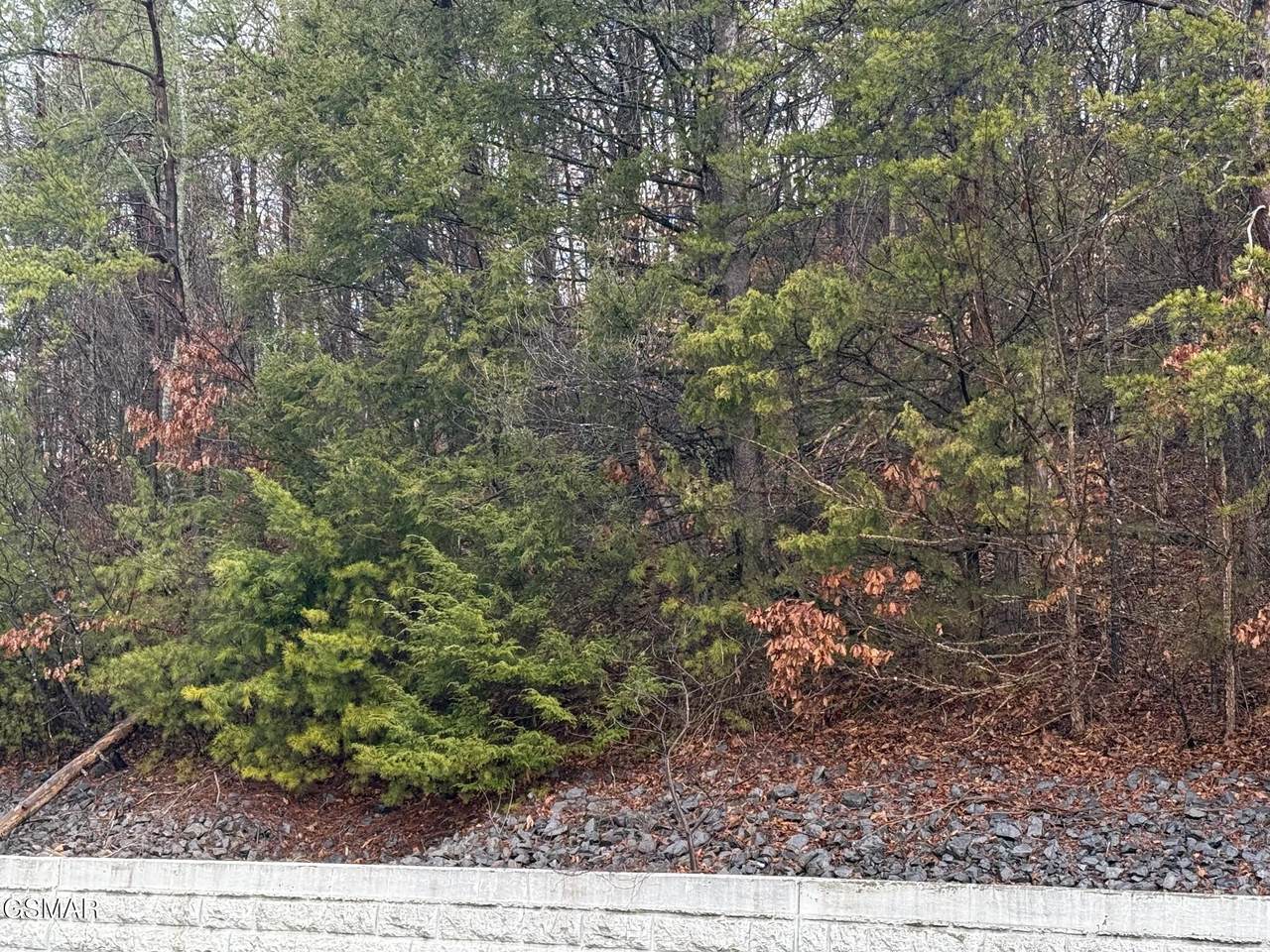 https://bt-photos.global.ssl.fastly.net/gsmar/1280_boomver_1_310259-2.jpg