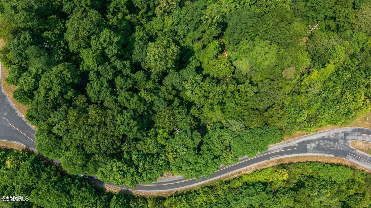 Lot 60W Longhunter Lane - Photo 1