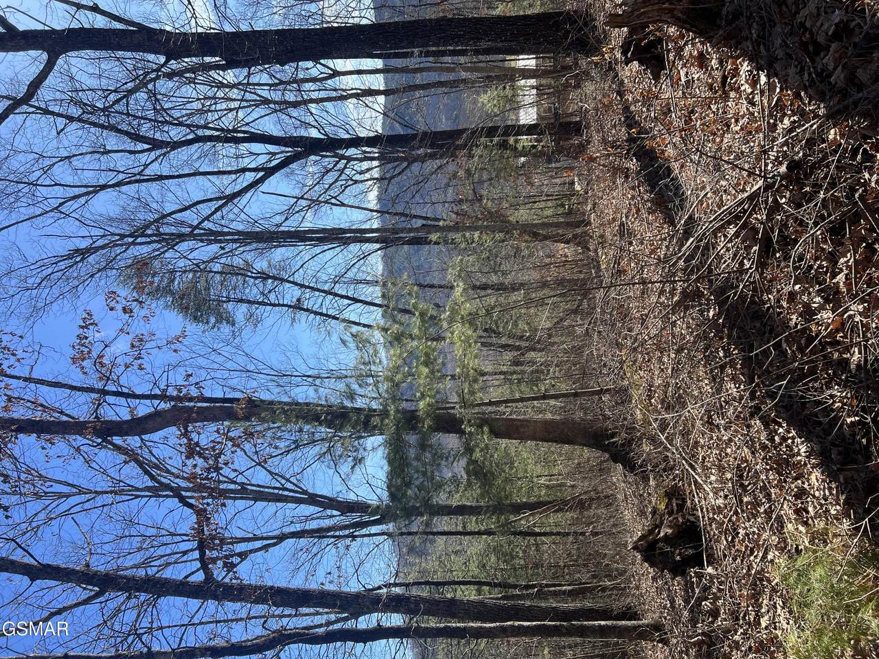 1008 Country Mountain Road - Photo 1