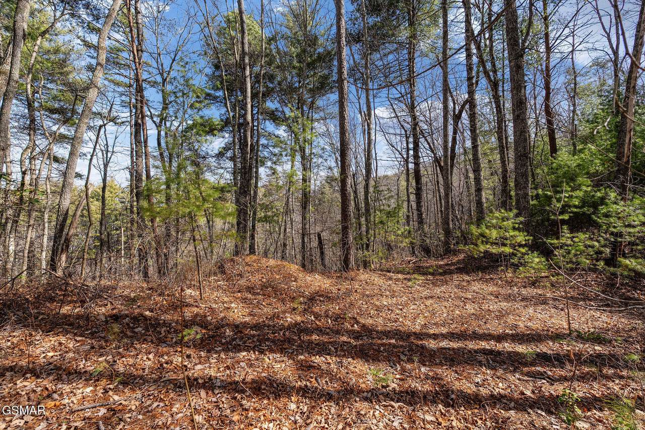 Lot 12 Paint Horse Way - Photo 1