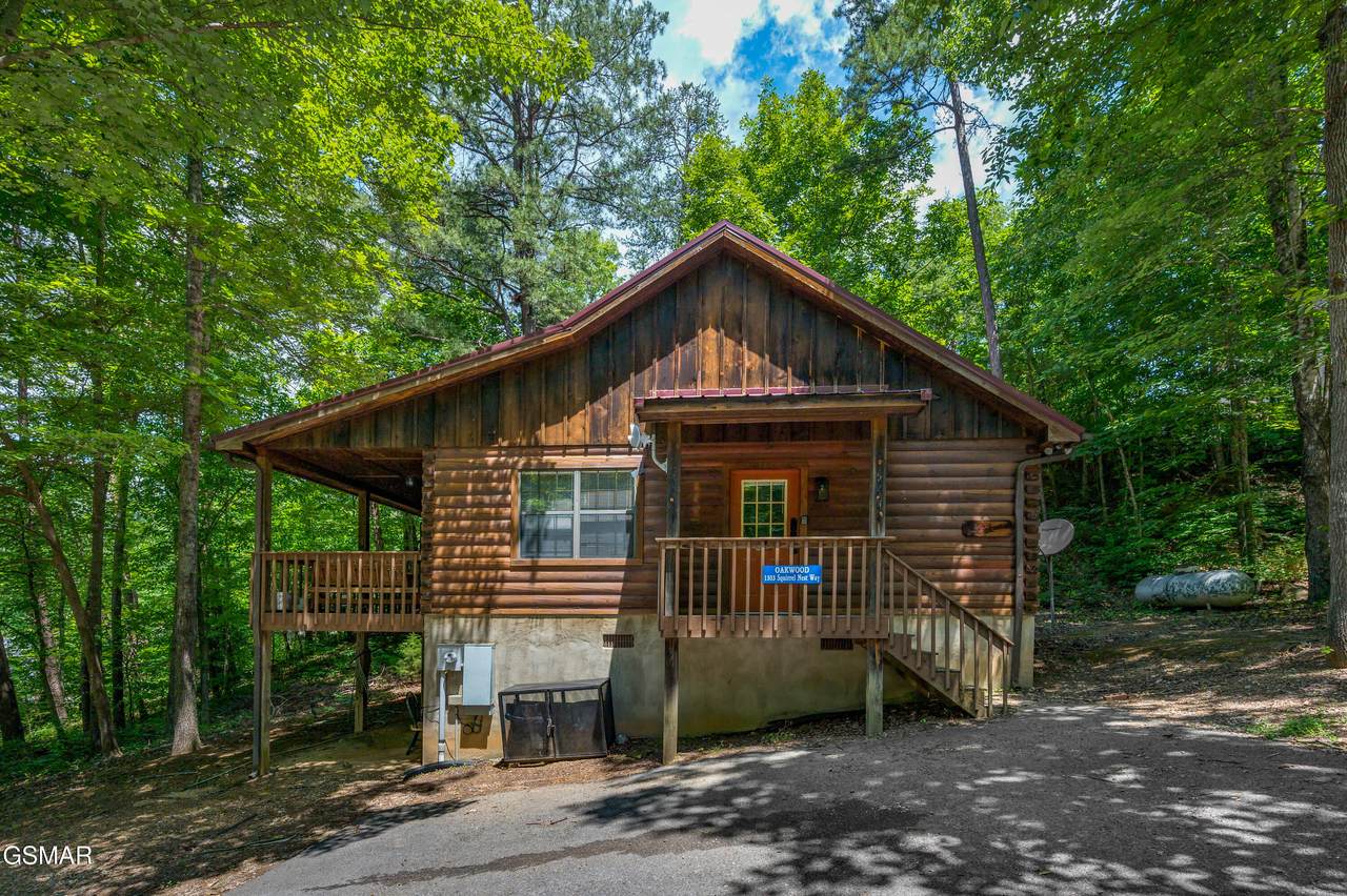 1503 Squirrel Nest Way - Photo 1