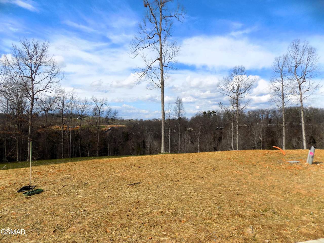 Lot 35 Graystone Shoals - Photo 1