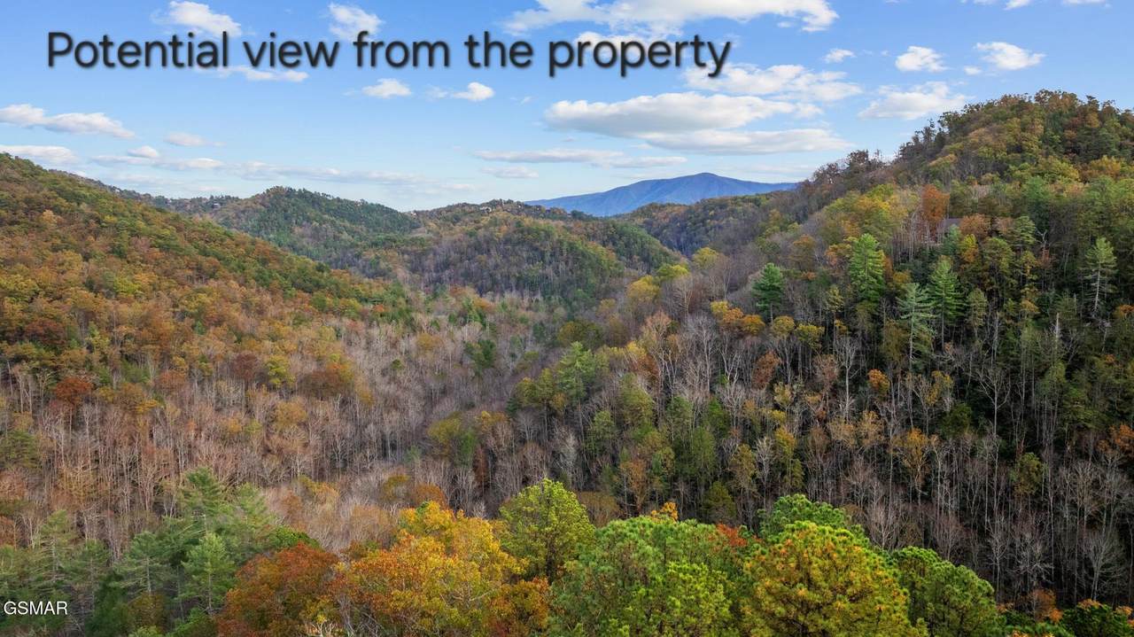 4416 Whetstone Road - Photo 1