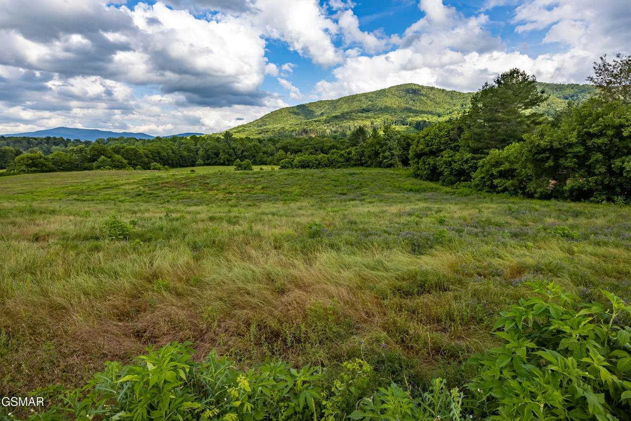 Lot 3R2 Holders Grove Road - Photo 1