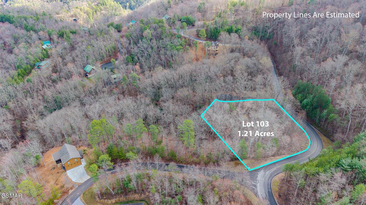 Lot 123 Long Rifle Road - Photo 1