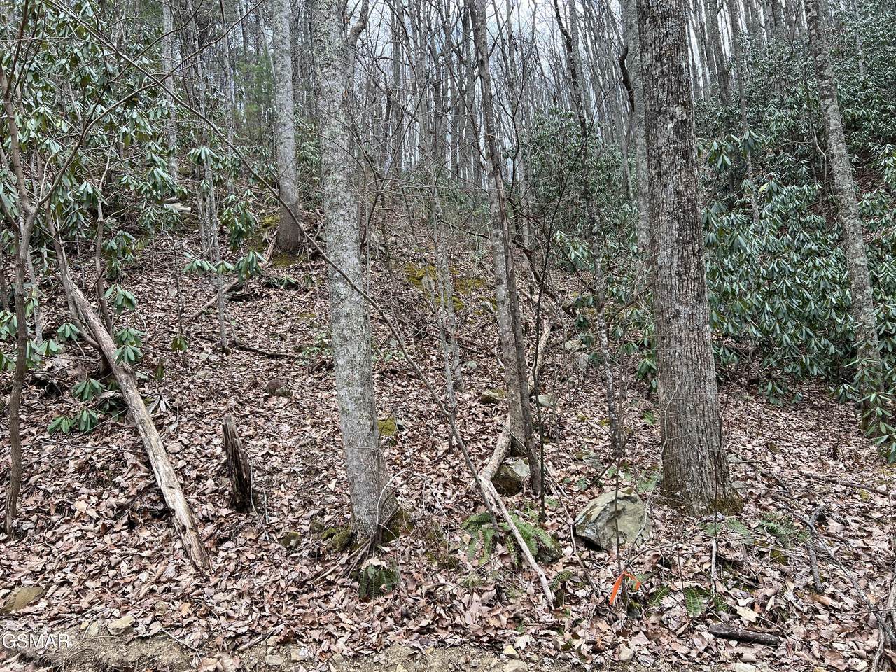 Lot 10 John Sevier Drive - Photo 1